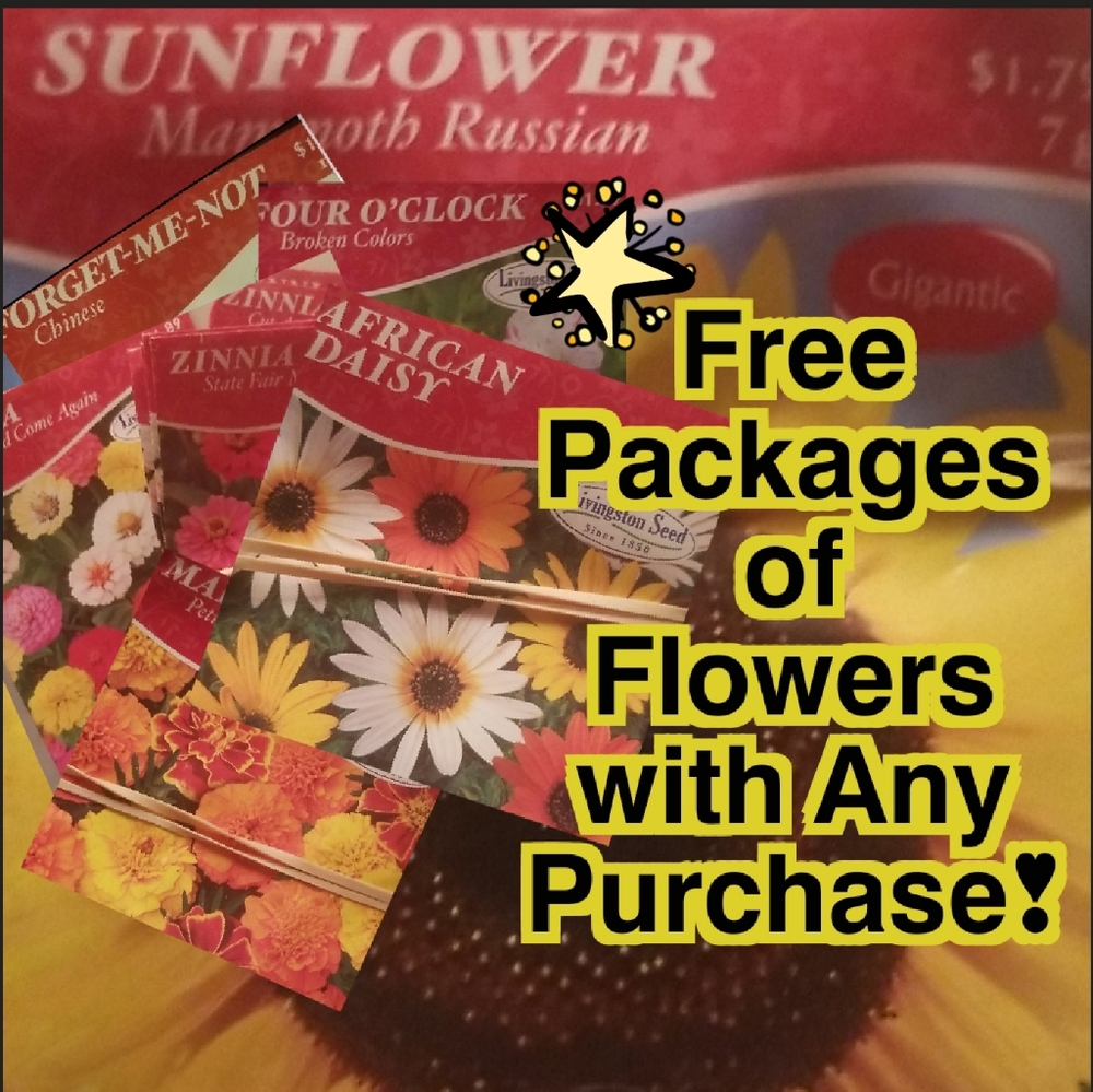 ๐ผ ๐๐ฅ๐๐ Flower pkg w/ purchase๐ฆ๐ - Picture 4 of 16